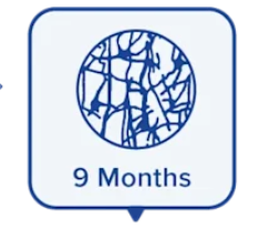Nine Months